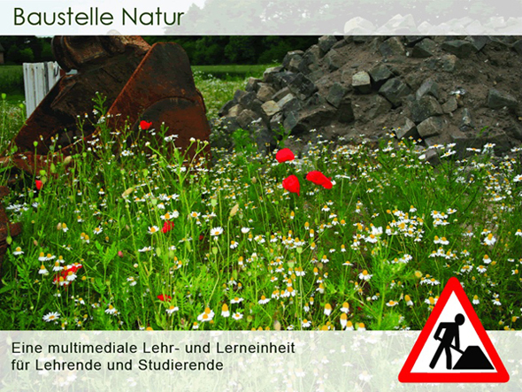 Baustelle Natur