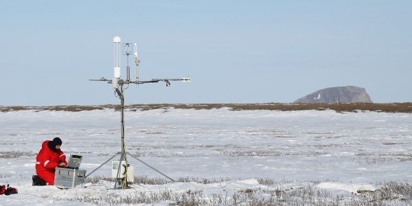 In the delta of Lena River