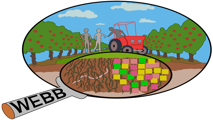 logo-transferprojekt-webb