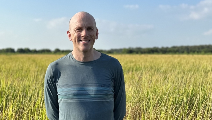 B. Runkle in a rice field