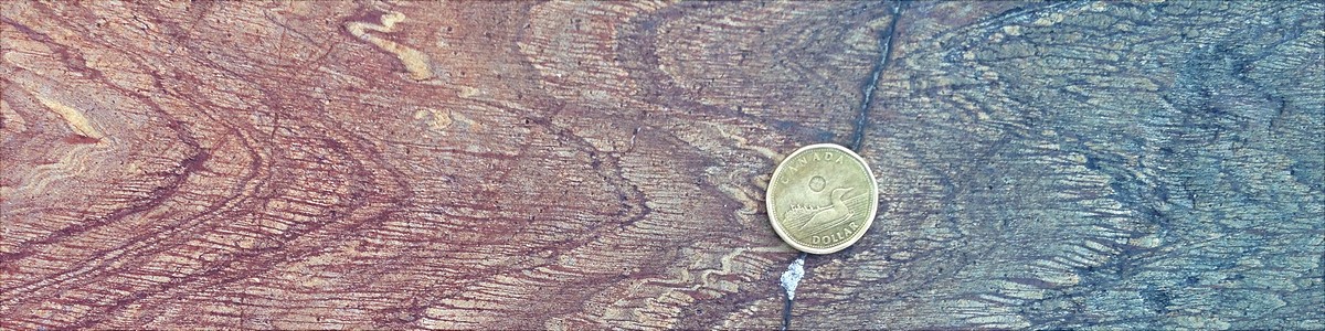 Structural Geology and Tectonics : Institut für Geologie : Universität Hamburg