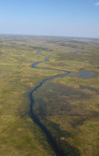 The Future Okavango
